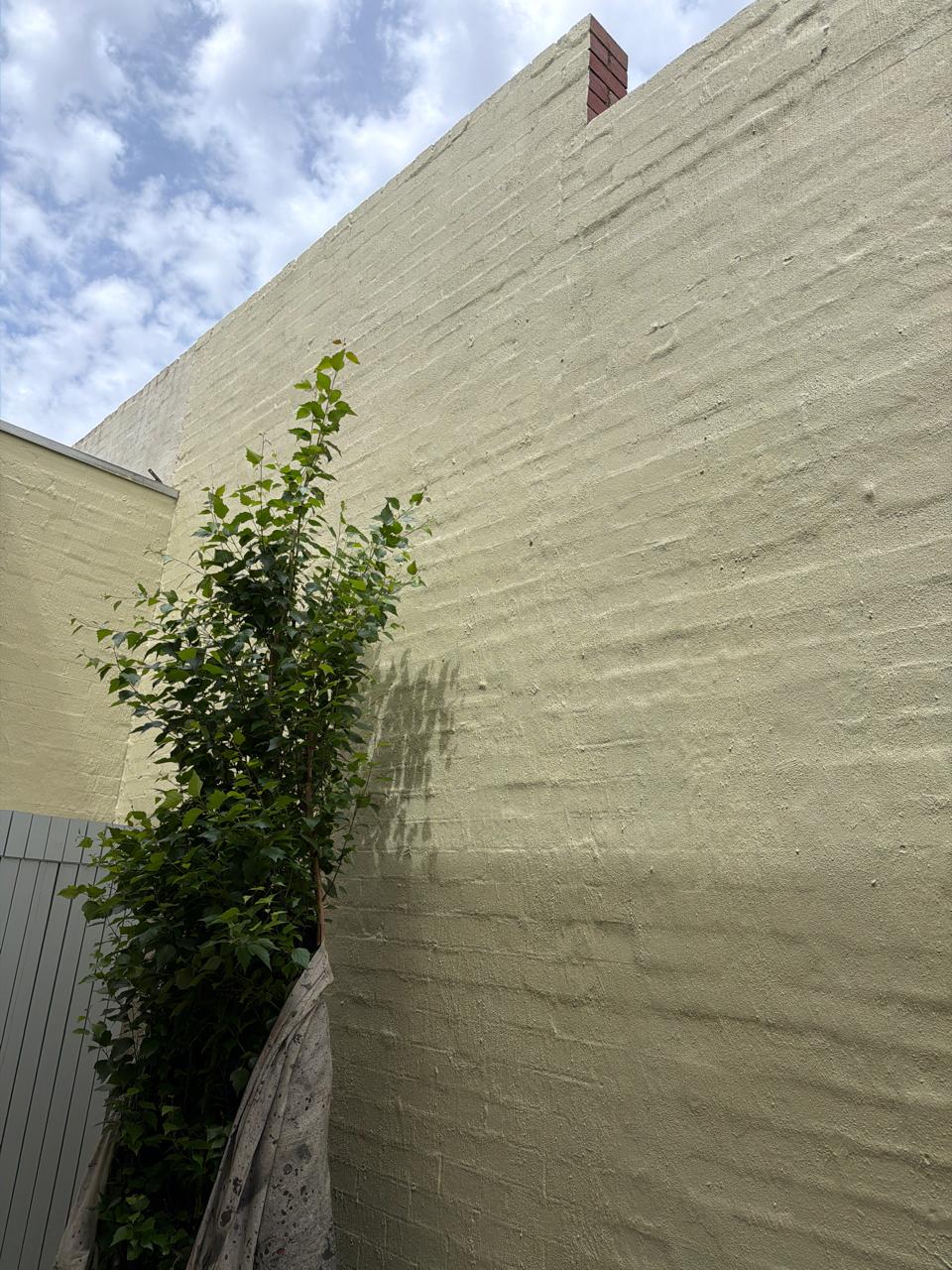 Painting project 5